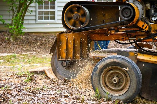 Miller’s Tree Service Complete Tree Care and Land Clearing Solutions