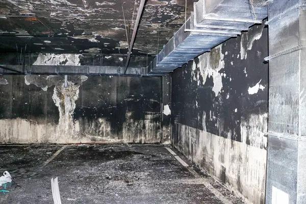 Affordable Water Damage Louisville Services You Can Trust