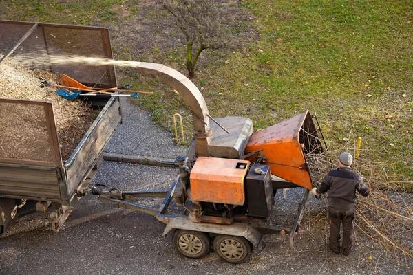 Efficient Tree Removal Service in Jackson MI for Safer Landscapes