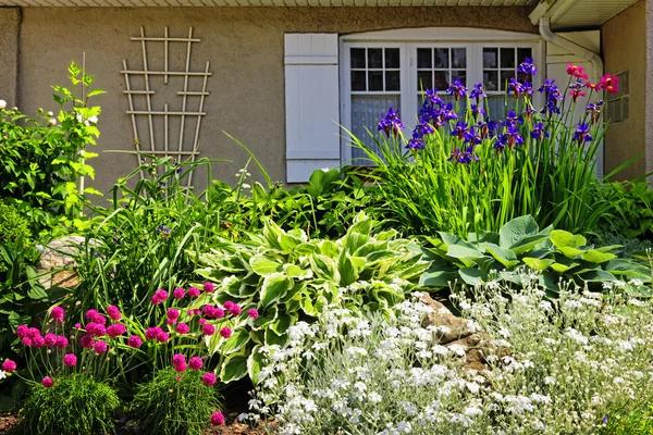 Reliable irrigation Orangevale Services to Keep Your Lawn Healthy