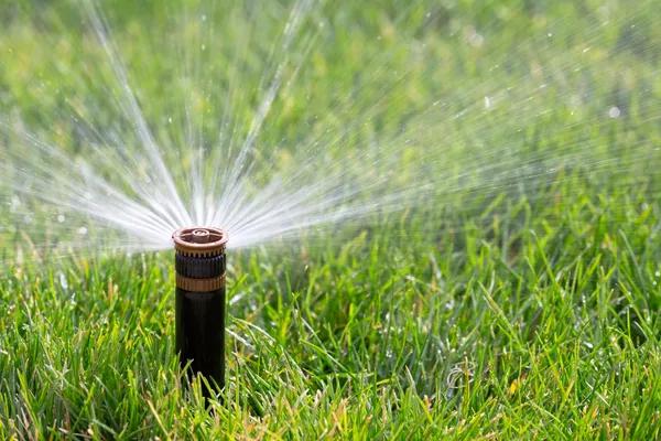 Comprehensive water mitigation services for water damaged homes